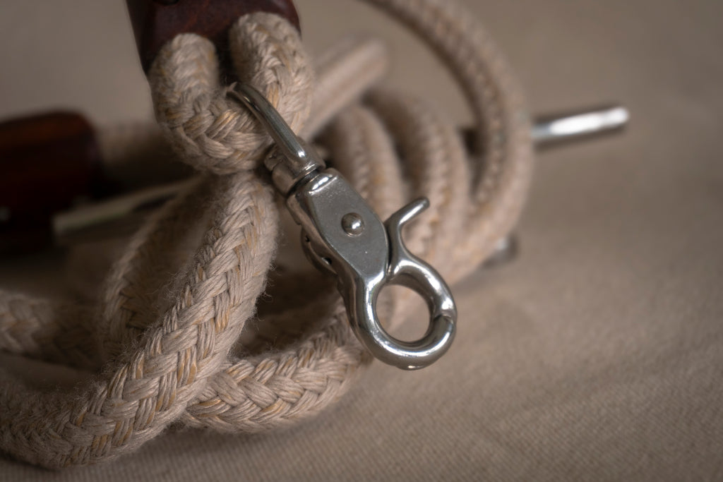 Classic Leash