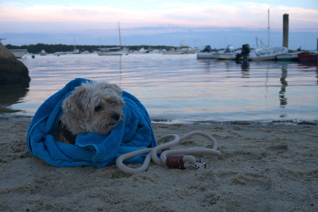 Classic Leash